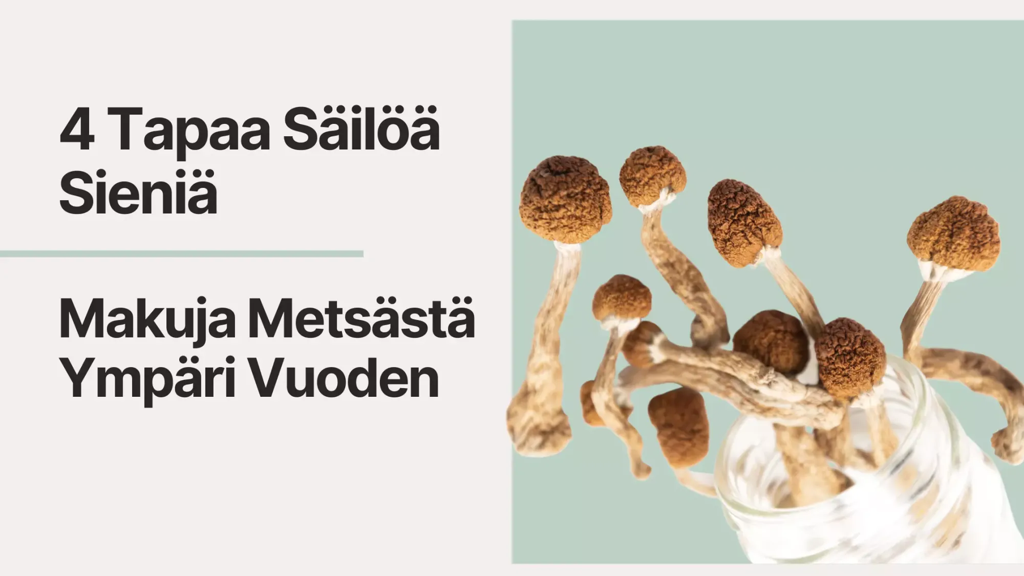 4 Tapaa Säilöä Sieniä - Makuja Metsästä Ympäri Vuoden