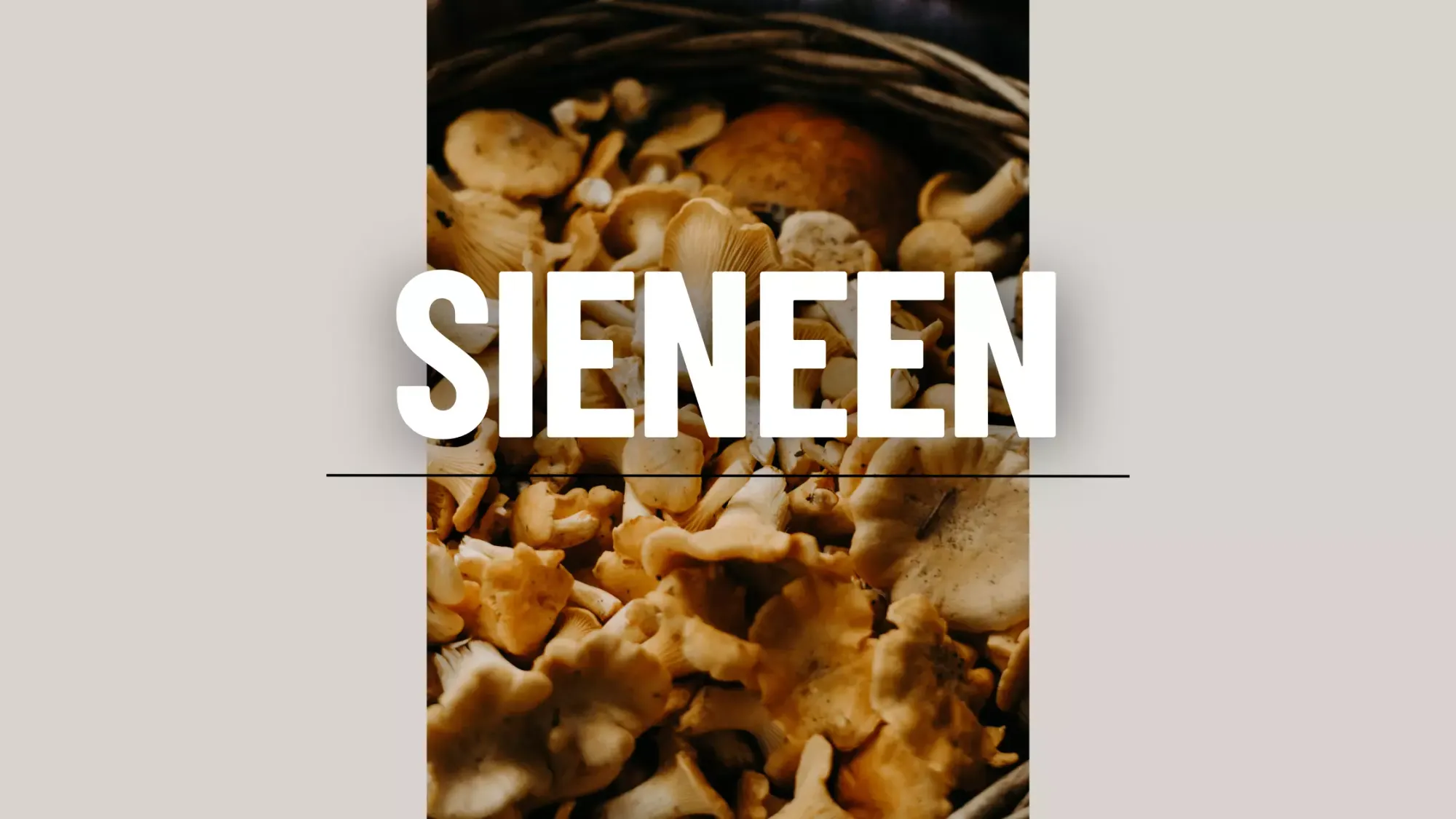 Sieneen.com